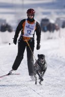 Lenk 2013